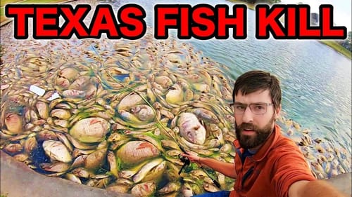 HUGE TEXAS FISHKILL AFTERMATH! (WHAT SURVIVED?)