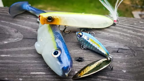 Catch More Bass This Fall Transition! Junk Fishing Tips!!