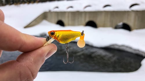 I Caught the KING of the TINY Creek!!! (New PB!)