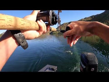 Silverwood Lake Stripers