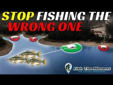 You’re Wasting Time Fishing The Wrong Docks – Here’s The Solution