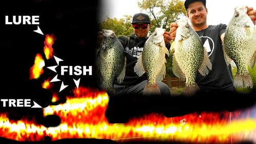 INSANE Video Game Fishing TROPHY Crappie!! --Garmin Panoptix LiveScope