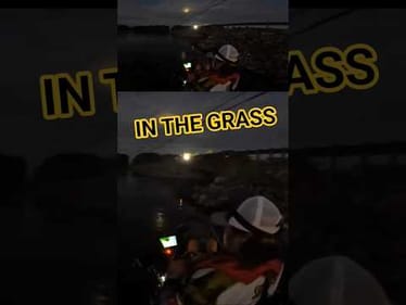 These Bass were Stacked in this Culvert #lakeguntersville