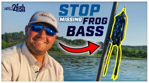 How to Set the Hook with Hollow-Bodied Frogs | 2 Methods