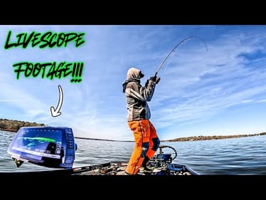 These BIG FISH Are So AGGRESSIVE!!! || Gaston Lake Bass Fishing