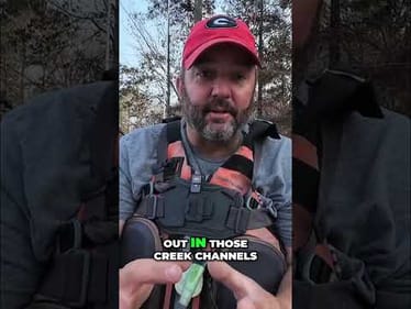 Catch BIG Bass: Secret Creek Channel Fishing Strategy #shorts