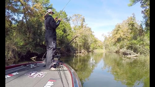 Bass Flippin' on Shallow Wood