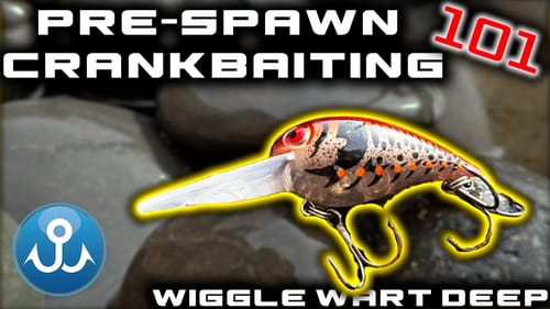 One of my BEST Pre-Spawn Crankbaits: Wiggle Wart Deep