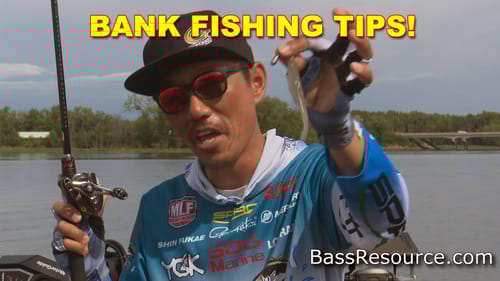 Bank Bass Fishing with the Free Rig with Shin Fukae | How To | Bass Fishing