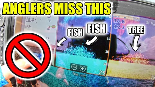 WON a 100K bass TOURNAMENT with this Fishing Technique!!!