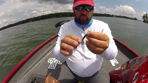 How to Tie a Dropshot Rig