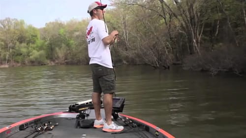 Fishing Spring Spinnerbaits in Shallow Cover