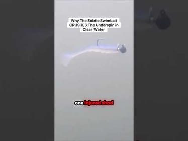 You won't believe how many bass this subtle bait catches #bassfishing #fishing #lures