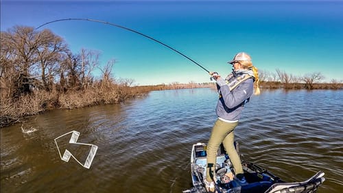 Catch Big Fish All Day Using A Single Bait In Shallow Flooded Bushes
