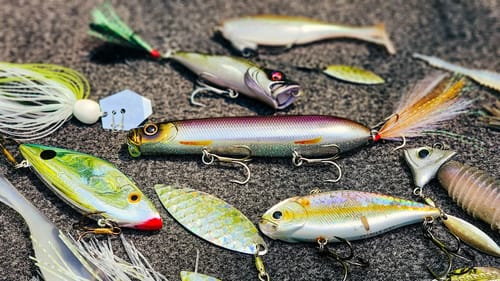 How To Catch Shallow Bass RIGHT NOW! Shad Spawn Fishing Tips!
