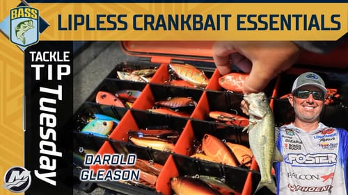 Why a lipless crankbait is in Darold Gleason's late-season arsenal