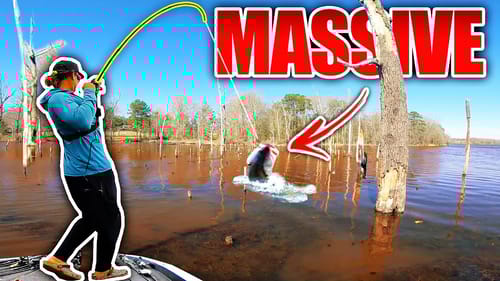 RARE MONSTERS are Hiding in this Flooded Forest!