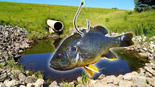 Tiny UNEXPLORED Spillway holds MASSIVE Potential!!