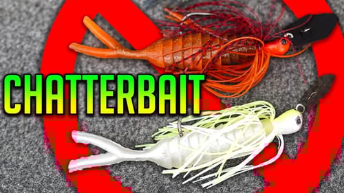 NOBODY does this with a CHATTERBAIT?!?!
