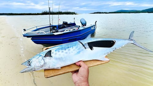 SOLO OCEAN ADVENTURE On The New Boat - Car Camping, Catch & Cook
