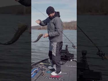 The Bass are MOVING (Winter Jerkbait Fishing)