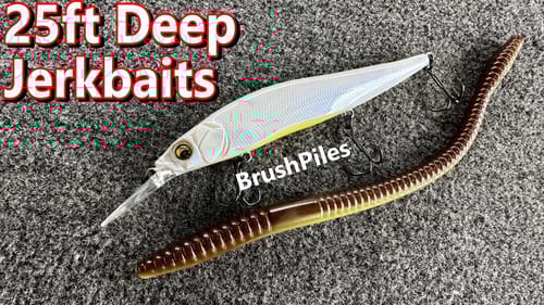 Jerkbaits Worms and 25ft Deep Brush Piles