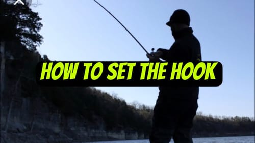 Losing Bass?…Stop Setting The Hook Like THIS..