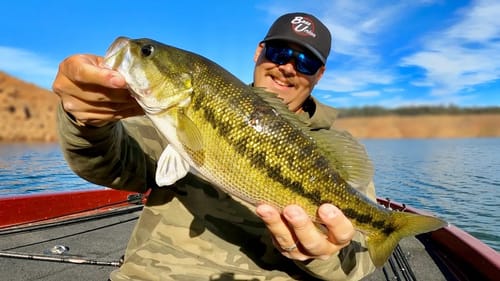 This New Bait I'm Working on Catches Fish!!