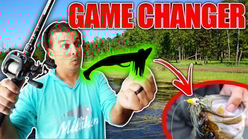 I May NEVER Use a Chatterbait Again! (Grass Fishing GAME CHANGER)