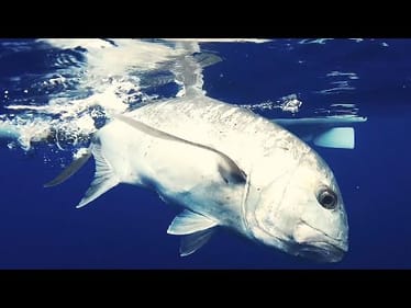 Kayak Fishing Hawaii for Bucket List Fish!