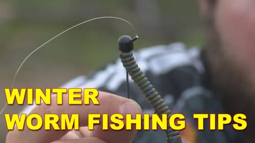Winter Worm Fishing Tips for Bass Fishing with Michael Neal | How To | Bass Fishing