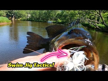 Swim Jig Tactics!