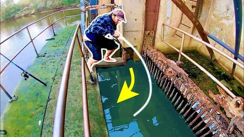 MONSTER FISH INSIDE NUCLEAR POWER PLANT!! (INSANE)