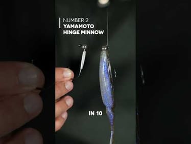 These are my top 5 picks for catching offshore bass this November. Which one would you throw first?