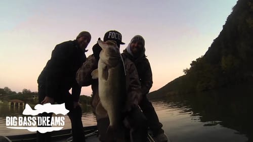 Look At This - Big Bass Dreams Edition