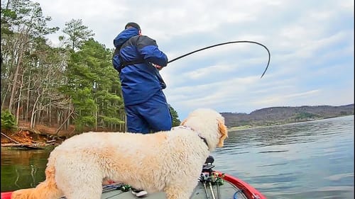 Crushing LAKE GUNTERSVILLE Bass in Early Spring! (CRANKING)