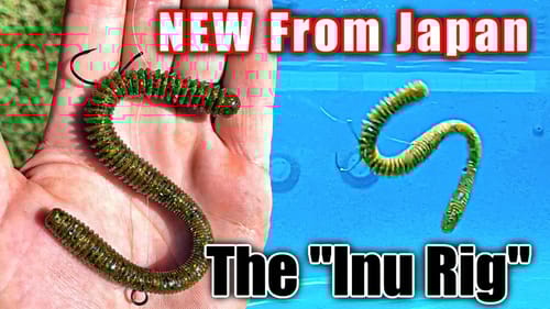 The Inu Rig | The Most Realistic Worm Rig EVER (Underwater Footage)