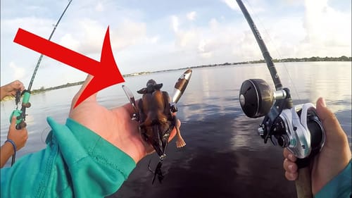 Saltwater Bat Challenge