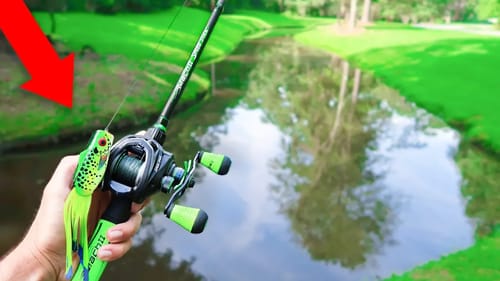 FROG Fishing TINY CREEK (HUGE BASS)