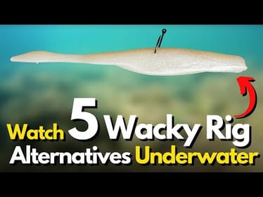 5 Wacky Rig Alternatives You Need to See UNDERWATER