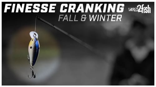 Brandon Cobb's Finesse Crankbait Tips for Cooler Seasons