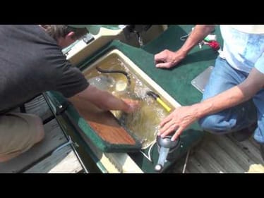 Big Bass Midwest Bass -- Jig Fishing