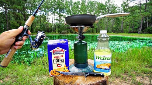 First Ever BACKYARD POND Catch and Cook!! (Delicious)