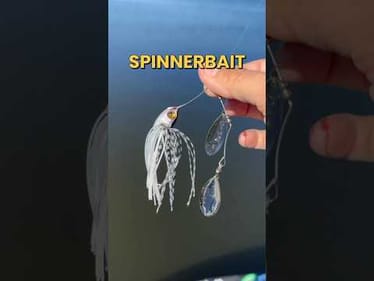 3 Reasons to Throw Spinnerbaits on Windy Days #fishing