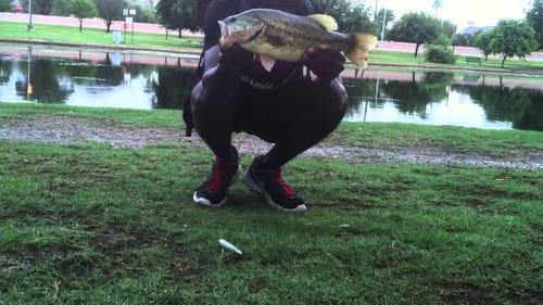 Summer Topwater Bass Fishing