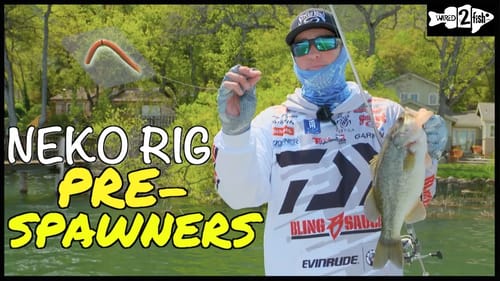 5 Tips for Neko Rigging Prespawn Bass