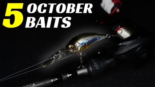 DON'T Go To The Lake In October WITHOUT These 5 Baits!