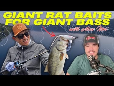 Are GIANT Rat Baits Underrated for Catching BIG Bass?!