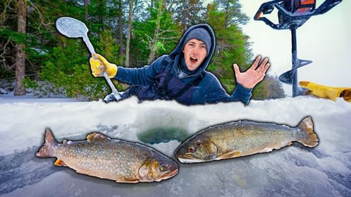 BACKWOODS Catch N Cook With Hybrid Trout! (I've Never Caught One)