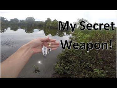 My Secret Weapon for Fall Bass